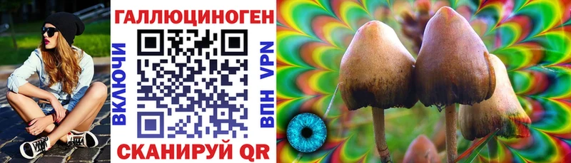Псилоцибиновые грибы ЛСД  кракен зеркало  Выкса 